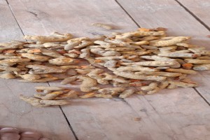 Turmeric from Pakistan